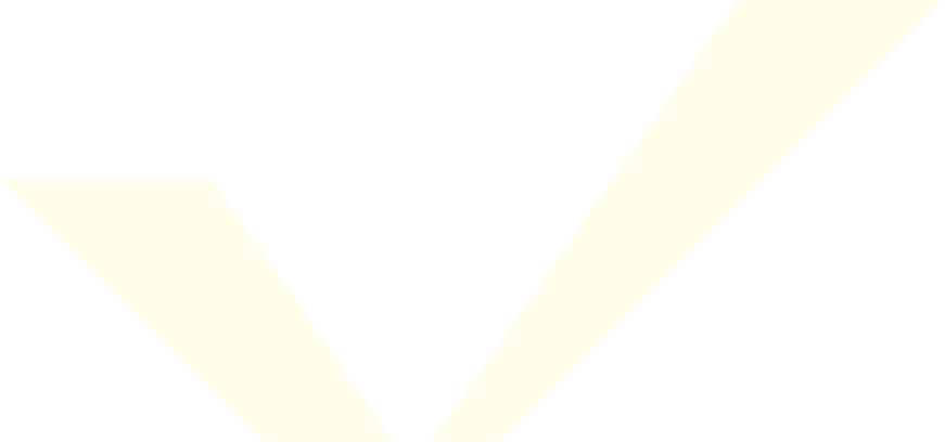 z书软g公司